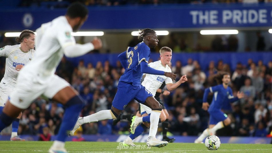 这位灰熊中 这位灰熊中